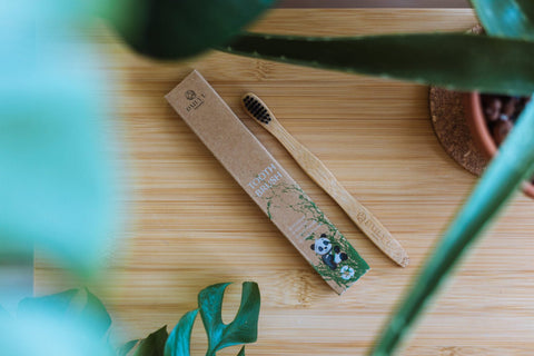 Imported Bamboo Toothbrush | Pack of 12